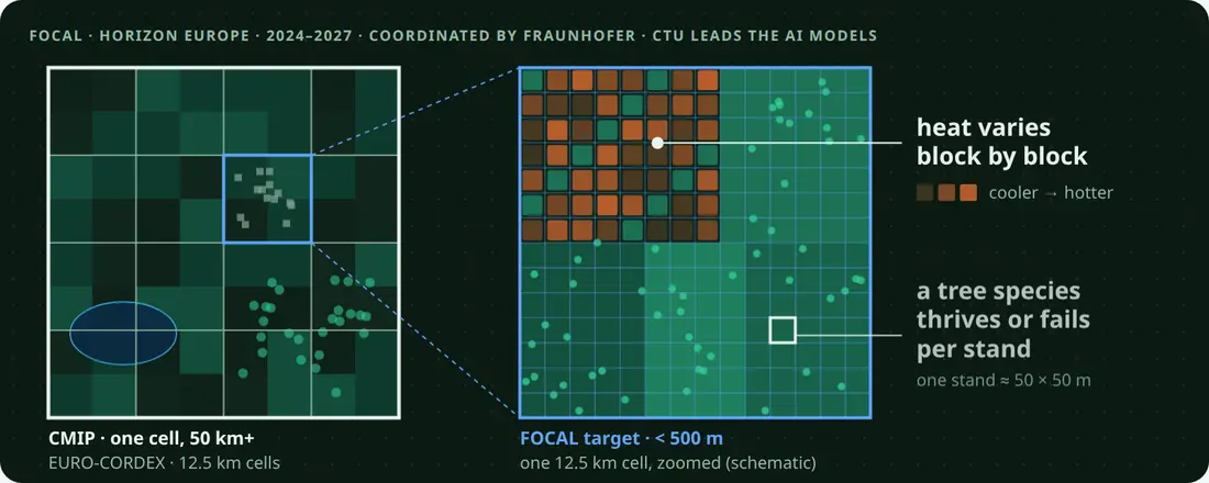FOCAL: from one 12.5 km climate-model cell to a grid under 500 m