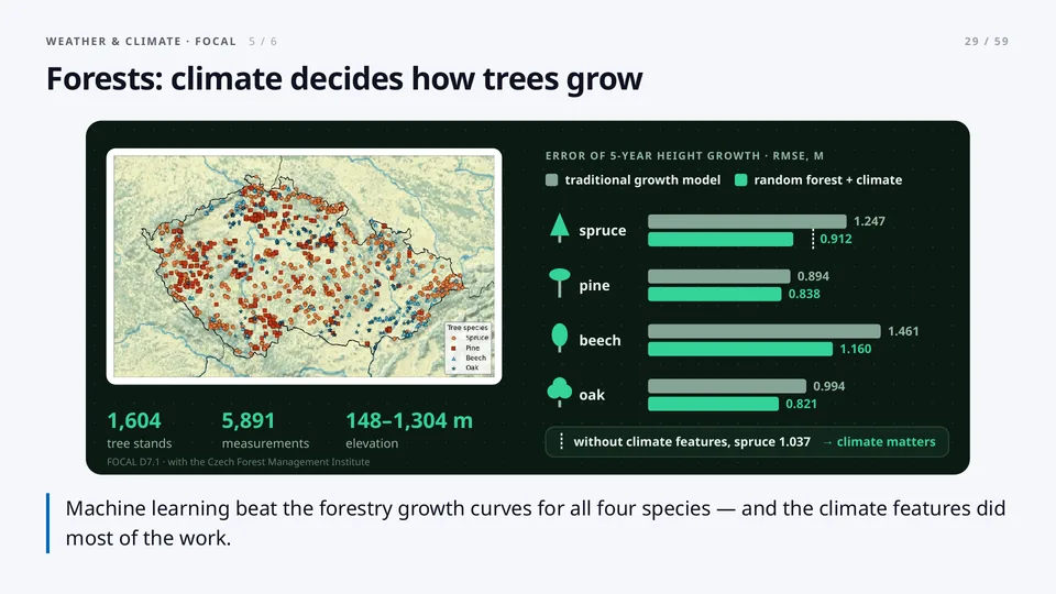 Forests: climate decides how trees grow